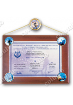 Диплом «Сертифицированный пловец-подводник»